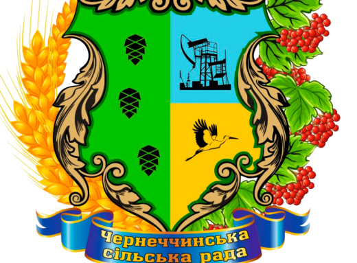 Чернеччинська громада з Охтирщини налагодила партнерство з громадою з Вінниччини фото