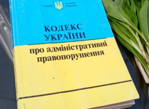 На Сумщині виявили 22 порушника, які збирали чи продавали першоцвіти фото