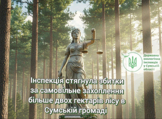 На Сумщині стягнули понад мільйон гривень за захват лісу та берега Псла фото