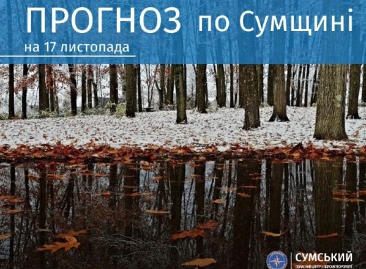 На Сумщині вночі прогнозують мокрий сніг фото