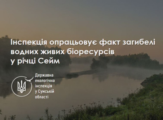 На Сумщині екоінспектори перевіряють воду в Сеймі через загибель риби фото На Сумщині екоінспектори перевіряють воду в Сеймі через загибель риби фото