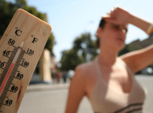 На Сумщині очікується спека до +37°C фото На Сумщині очікується спека до +37°C фото