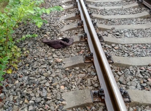 На Сумщині сталася трагедія на залізниці: потяг насмерть збив жінку фото