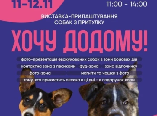 У Сумах пройде виставка-прилаштування собак з притулку “Хочу додому!” фото