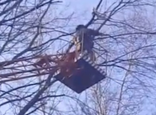 У центральному парку Сум вибухотехніки знімали уламки ворожого дрона з дерева фото