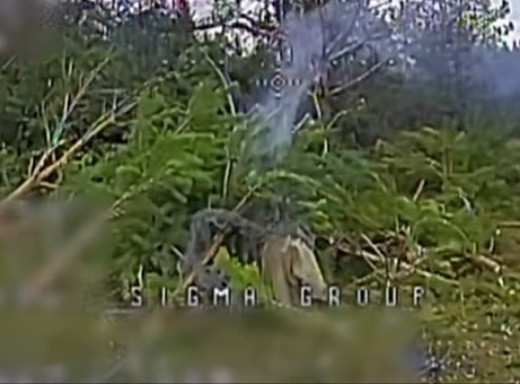 Дронами по артилерії та піхоті: прикордонники показали результат на Сумському напрямку (відео) фото