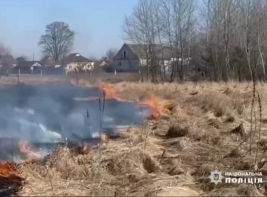 На Сумщині за три роки загинули 14 спалювачів сухостою фото