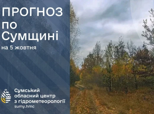 На Сумщині очікуються дощові вихідні фото