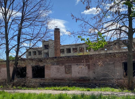 На згарищі школи у Великій Писарівці знову оселилися лелеки фото На згарищі школи у Великій Писарівці знову оселилися лелеки фото