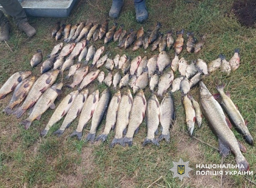 На Роменщині затримали браконьєра: виловив понад 80 рибин фото На Роменщині затримали браконьєра: виловив понад 80 рибин фото