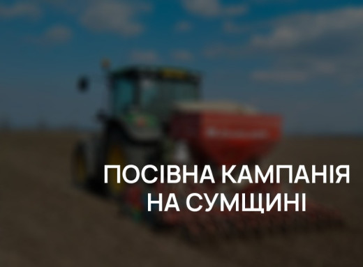 Заморозки та дощі: негода гальмує темпи посівної на Сумщині фото