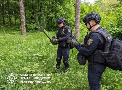 38 вибухонебезпечних предметів на Сумщині знищили піротехніки за тиждень фото