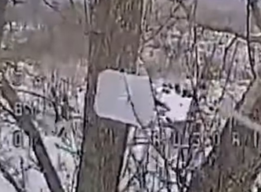 Прикордонники знищили засоби РЕБ ворога на Сумському напрямку (відео) фото