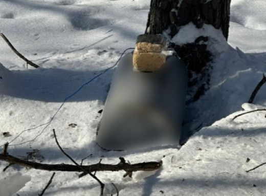 На Сумщині вибухотехніки знешкодили 50-кілограмову бойову частину дрона фото