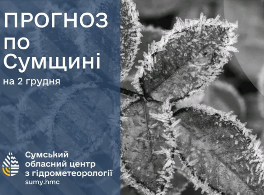 Погода на Сумщині на початку тижня: очікується мінлива хмарність та ожеледиця фото