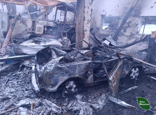 Російські «шахеди» атакували лісництво на прикордонні Сумщини фото