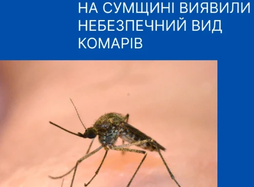 У Сумах виявлено новий вид комарів, який може переносити небезпечні захворювання фото