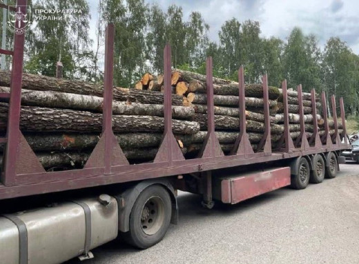 П’ятимільйонні збитки на деревині: двох директорів агролісгоспів Сумщини судитимуть за махінації фото