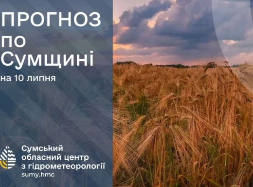 На Сумщині очікується гроза: прогноз погоди на 10-12 липня фото