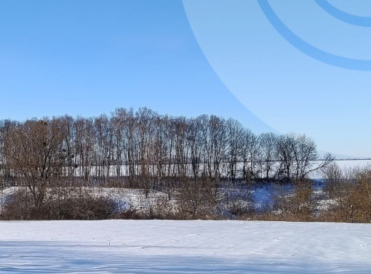 Від морозів до відлиги: на Сумщині очікуються різкі зміни погоди та ожеледиця фото