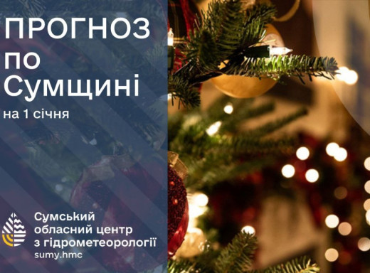 Яка погода очікується на Сумщині на початку нового року? фото