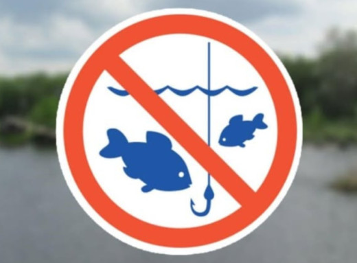 На Сумщині з квітня розпочинається нерестова заборона на вилов риби фото