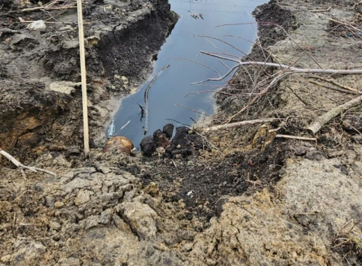 У Тростянці виявлено забруднення каналізаційними стоками фото