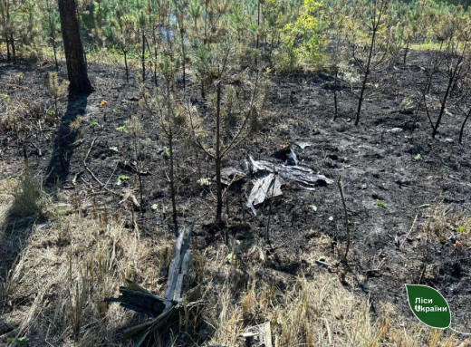 На Сумщині лісівники ліквідували дві пожежі, спричинені ворожими атаками фото
