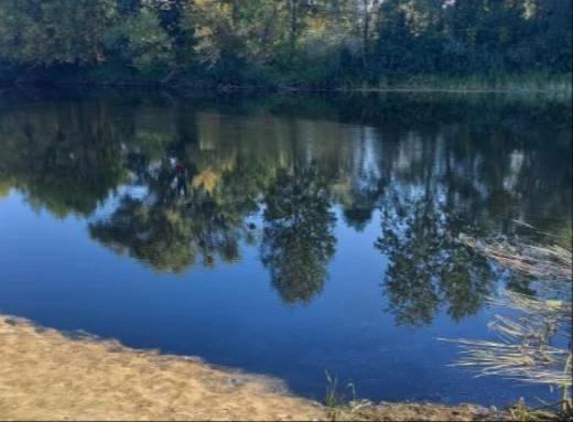 Якість води в річці Сейм поступово відновлюється фото