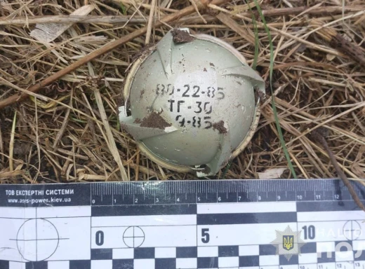 Вибухотехніки Сумщини знешкоджують небезпечні кулькові бомби фото