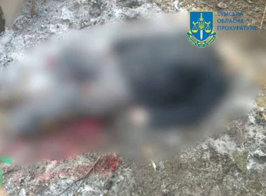 Окупанти обстріляли прикордоння Сумщини: загинув чоловік, поранений підліток фото