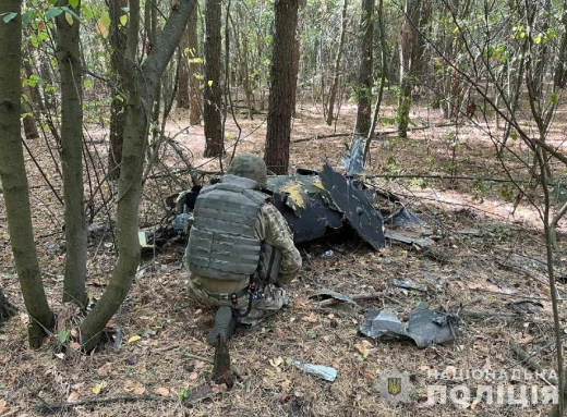 На Сумщині знешкодили бойову частину збитого російського дрона фото