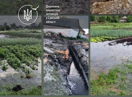 На Лебединщині під час копання колодязя пробило водоносний горизонт: підтоплено присадибні ділянки фото