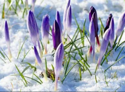 Що зміниться з березня 2026 року в Україні фото