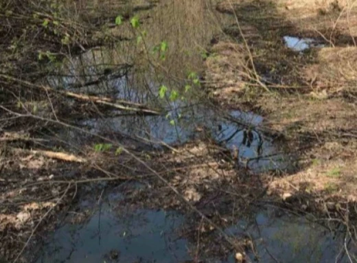 На Роменщині стався аварійний витік нафти: забруднено 75 кв. м ґрунту фото