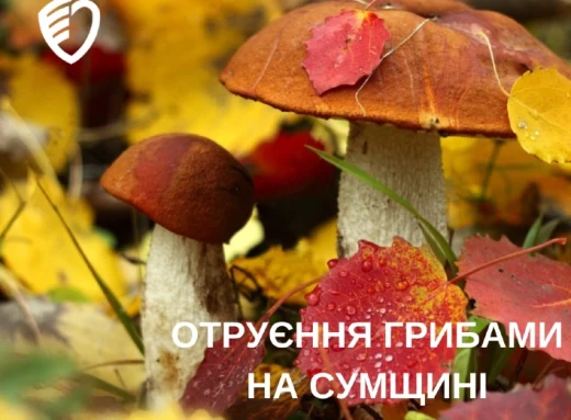 На Сумщині грибами отруїлися троє фото