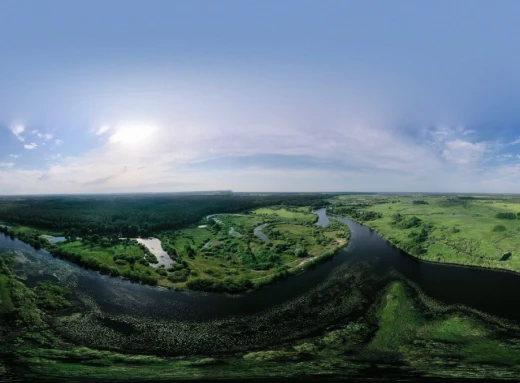 На Сумщині чиновниця незаконно віддала землю у національному парку фото