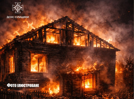 У Зноб-Новгородському на пожежі загинуло подружжя фото
