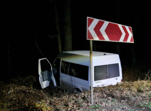 У Сумському районі 59-річний водій мікроавтобусу не впорався з керуванням і врізався в дерево в кюветі фото