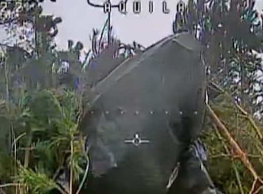 На Сумському напрямку прикордонники дроном знищили російську гаубицю у глибокому тилу ворога фото