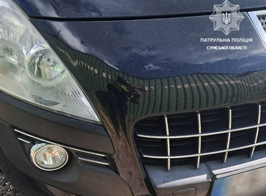 У Сумах водійка Peugeot збила жінку та дитину на пішохідному переході фото
