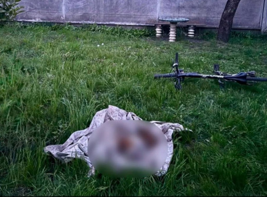 На Конотопщині поліція розслідує вбивство собаки фото На Конотопщині поліція розслідує вбивство собаки фото