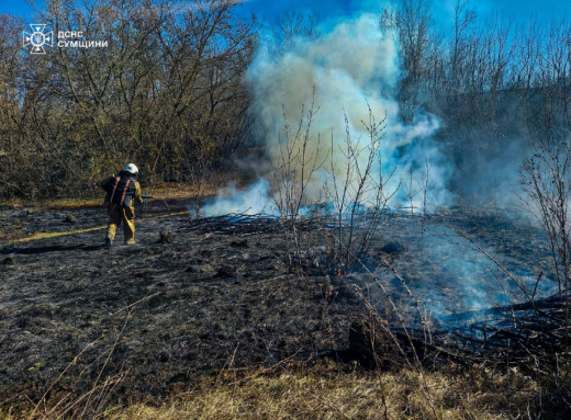 Масштабна пожежа в Конотопі: вогнеборці захистили житлові будинки від вогню на відкритій території фото