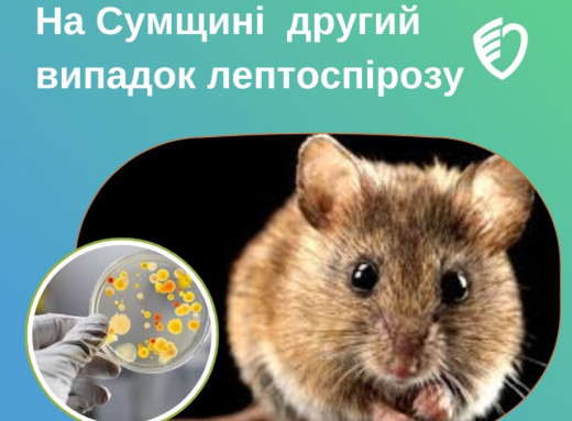 На Сумщині зафіксовано другий випадок лептоспірозу за рік: захворів 40-річний роменець фото На Сумщині зафіксовано другий випадок лептоспірозу за рік: захворів 40-річний роменець фото