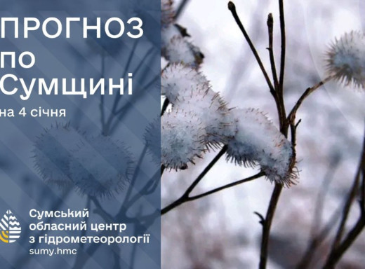 На Сумщині очікується похолодання та складні погодні умови фото