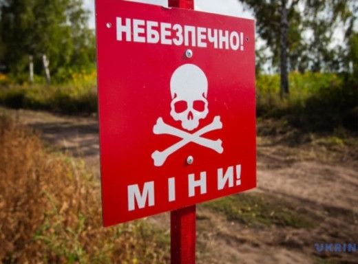 На Сумщині чоловік підірвався на міні «Лєпєсток» фото На Сумщині чоловік підірвався на міні «Лєпєсток» фото