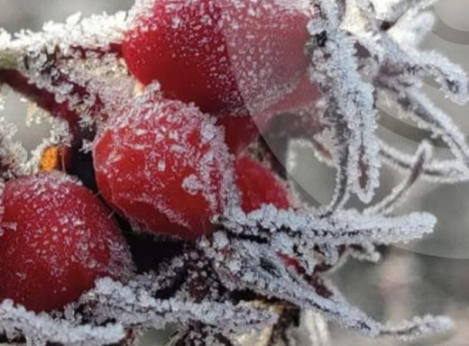 Температура впаде до -23°: детальний прогноз погоди на Сумщині до кінця тижня фото