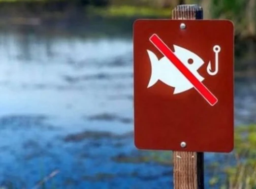 На Сумщині з 1 квітня розпочинається нерестова заборона на риболовлю фото