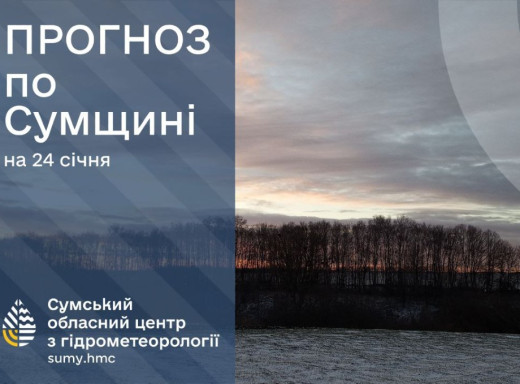 На Сумщині очікується потепління: синоптики прогнозують до +6°C фото