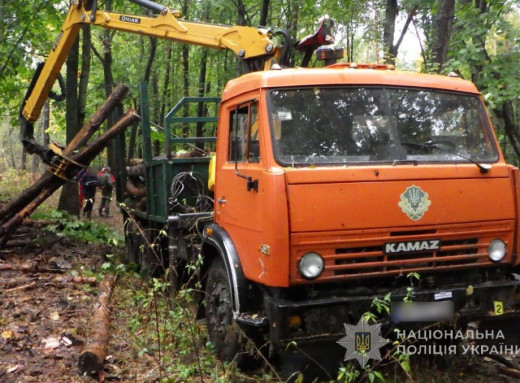 Лісничого судитимуть у Глухові через загибель працівника на заготівлі деревини фото